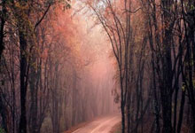 李易峰吴昕天涯论坛热议大事件