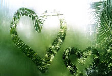 天涯论坛最惊人的十大神贴