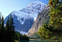 李易峰吴昕天涯论坛热议大事件