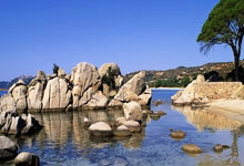 日本版天涯神贴：趣事、热议与感悟